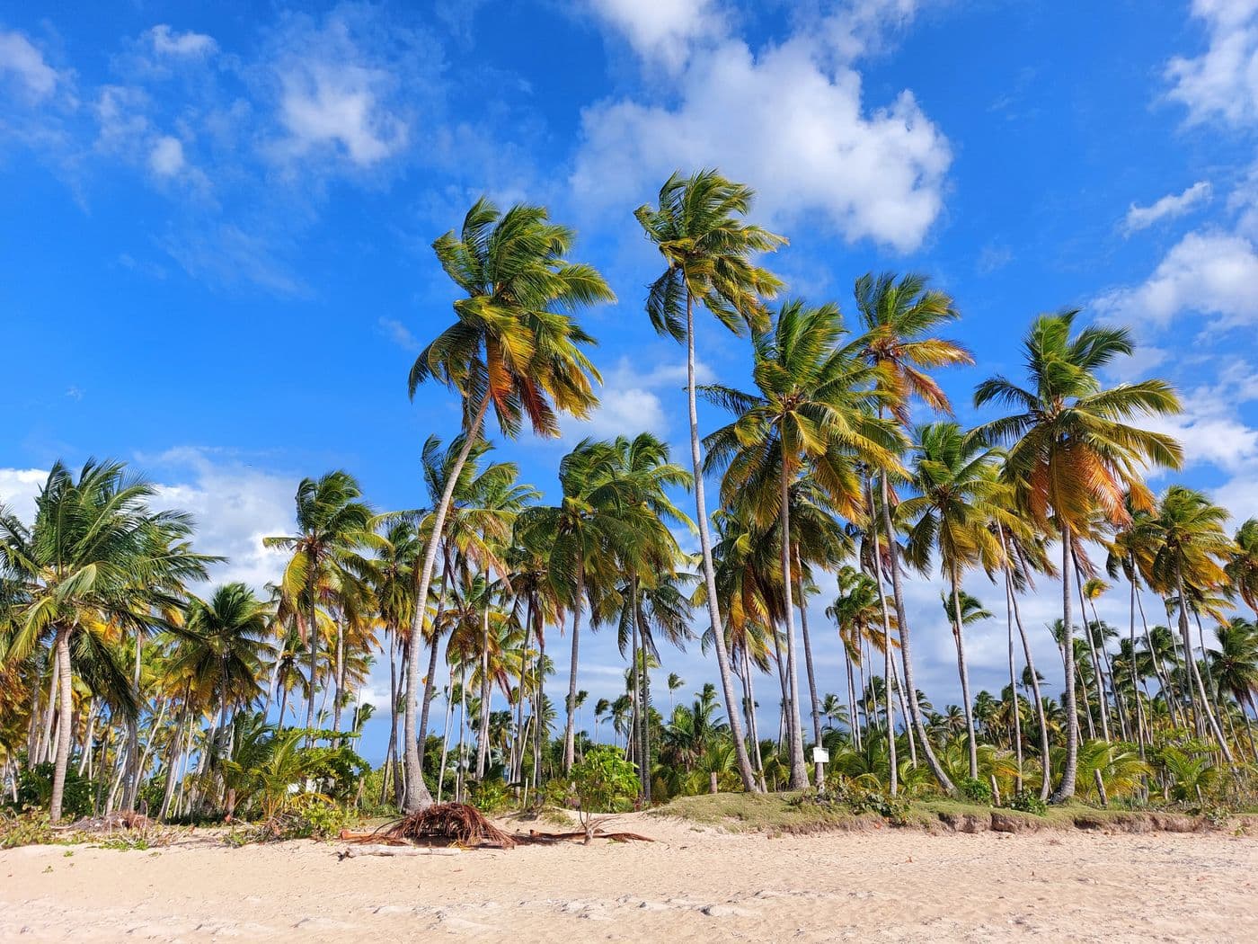 Destination served by the SAMANÁ private transfer route