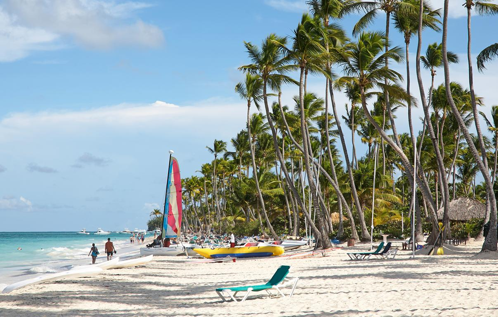 Dominican Republic beach with palm trees